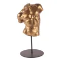 Buste man - goud - 26 cm