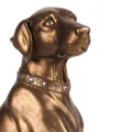 Hondenbeeld Weimaraner - goud - 39 cm