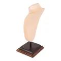 Buste - bruin - 35 cm